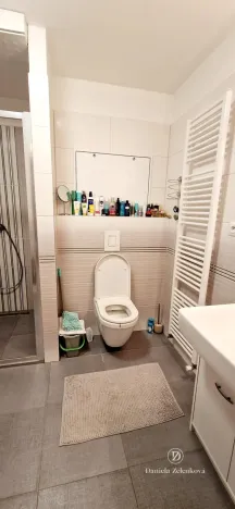 Pronájem bytu 1+kk, Ševětín, Zahradní, 37 m2