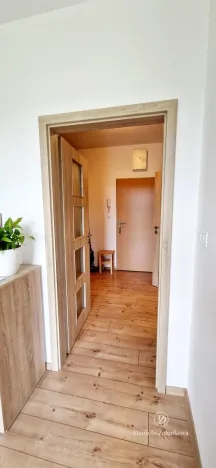 Pronájem bytu 1+kk, Ševětín, Zahradní, 37 m2