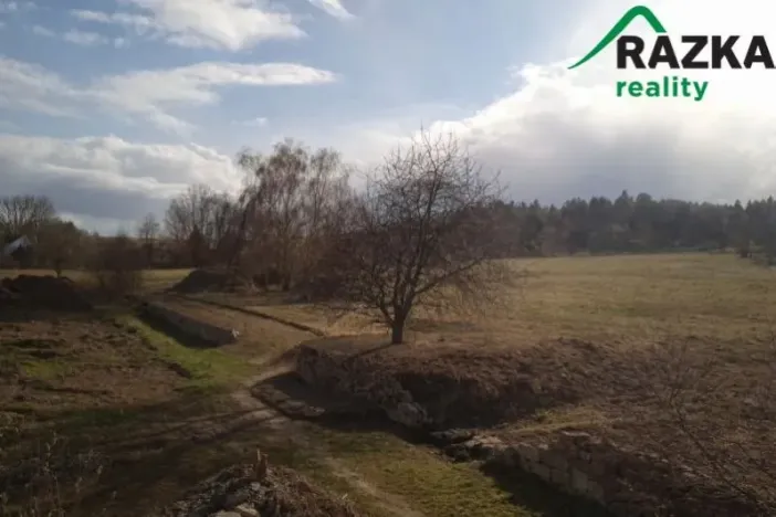 Prodej komerčního pozemku, Lestkov - Domaslav, 4866 m2