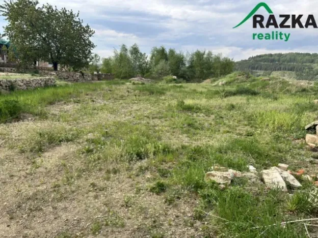 Prodej komerčního pozemku, Lestkov - Domaslav, 4866 m2