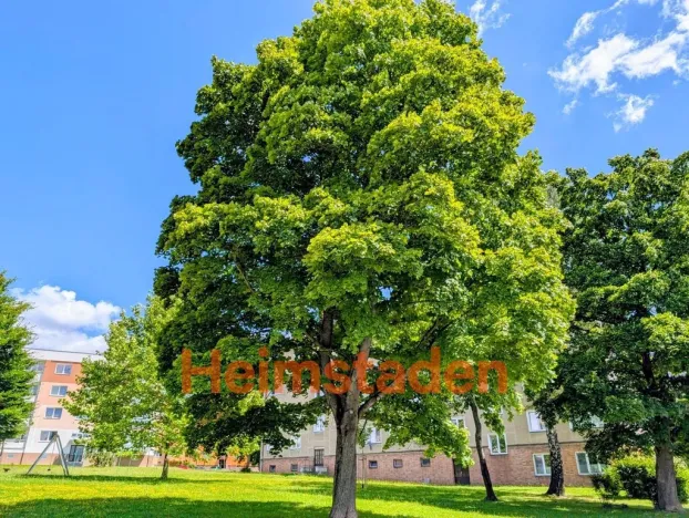 Pronájem bytu 1+kk, Havířov - Město, Jožky Jabůrkové, 21 m2