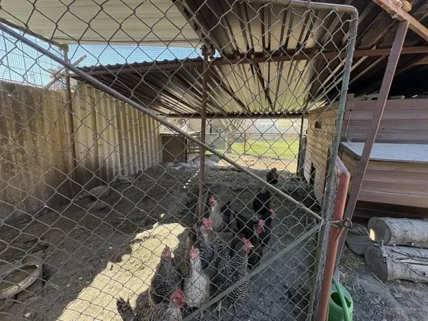 Prodej rodinného domu, Nelahozeves, U Ptz, 90 m2