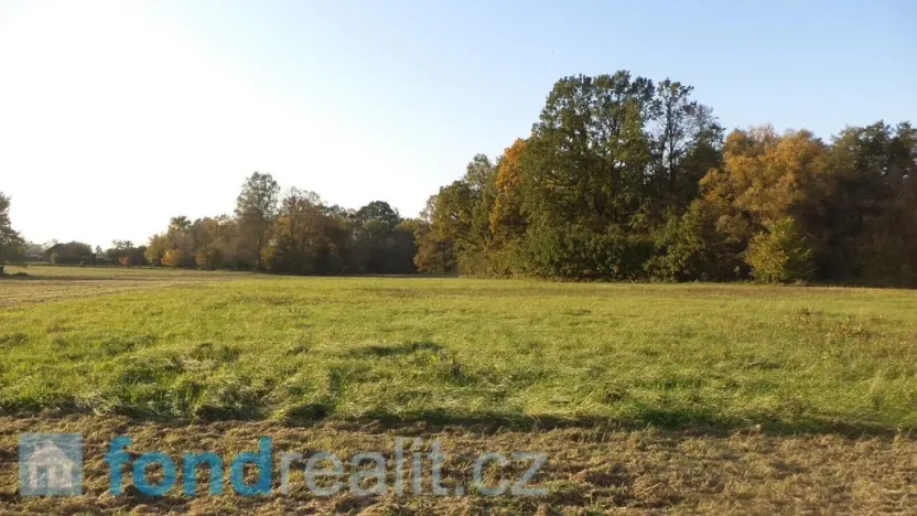 Prodej pozemku, Petrovice u Karviné, 6981 m2