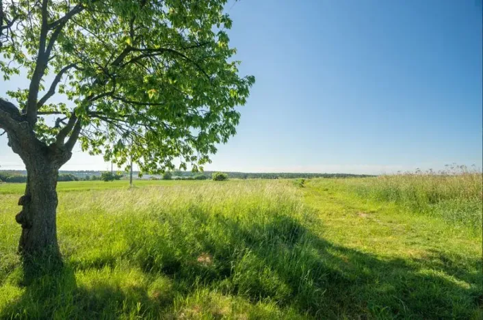 Prodej pozemku pro bydlení, Vejprnice, Pod Hájíčkem, 1076 m2