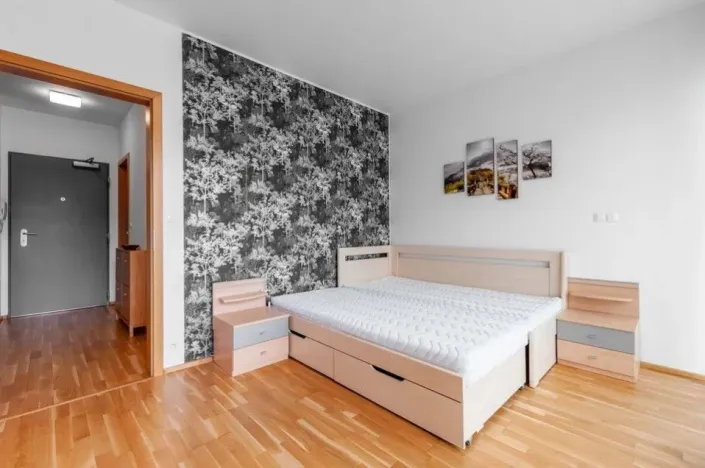 Pronájem bytu 2+kk, Praha - Vinohrady, Korunní, 76 m2
