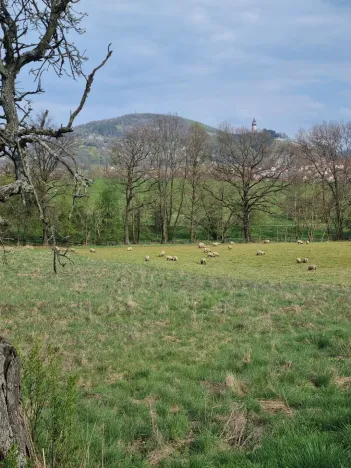 Pronájem pole, Štramberk, Novojičínská, 850 m2