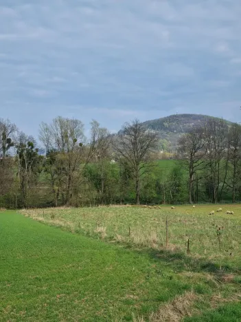 Pronájem pole, Štramberk, Novojičínská, 850 m2