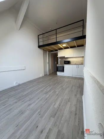 Prodej bytu 1+kk, Ostrava - Přívoz, Palackého, 26 m2