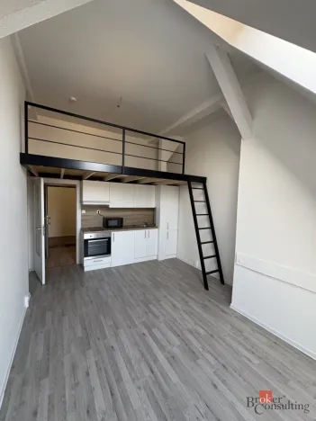 Prodej bytu 1+kk, Ostrava - Přívoz, Palackého, 26 m2