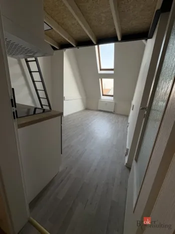 Prodej bytu 1+kk, Ostrava - Přívoz, Palackého, 26 m2