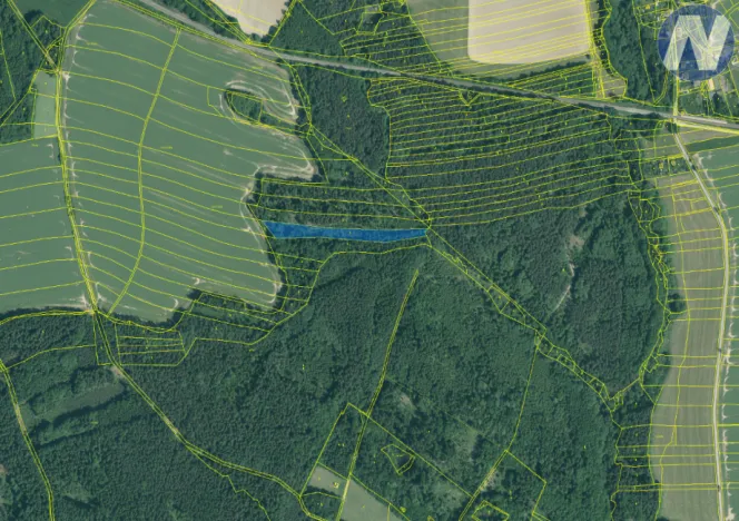 Prodej lesa, Borovany - Trocnov, 9174 m2