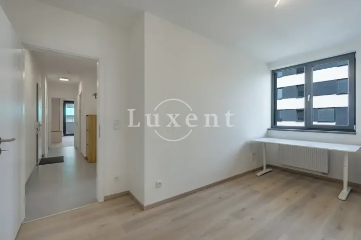 Pronájem bytu 3+kk, Praha - Žižkov, Olgy Havlové, 73 m2