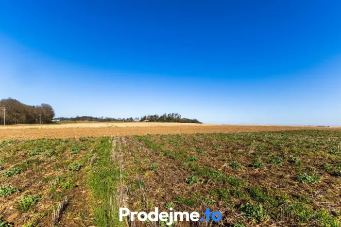 Prodej pozemku pro bydlení, Budišov, 1118 m2