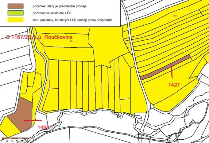Prodej lesa, Pacov, 10995 m2