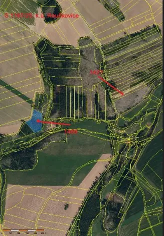 Prodej lesa, Pacov, 10995 m2