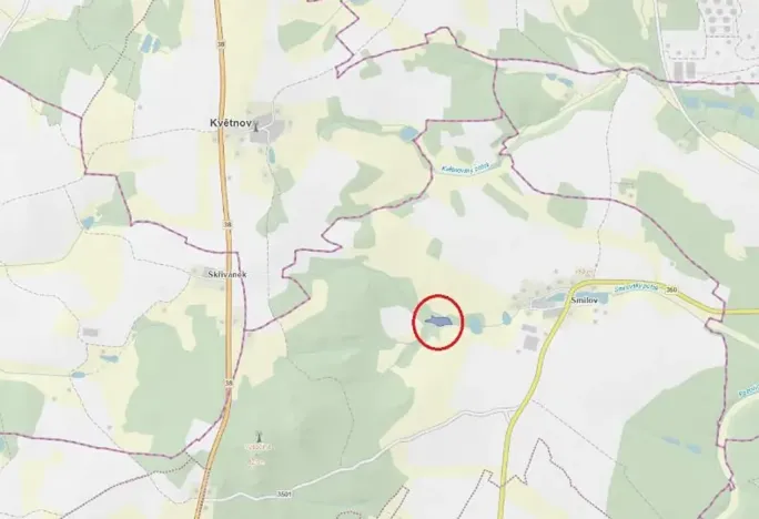 Prodej lesa, Štoky, 6941 m2