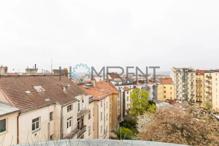 Pronájem bytu 3+kk, Praha - Vinohrady, Šumavská, 104 m2