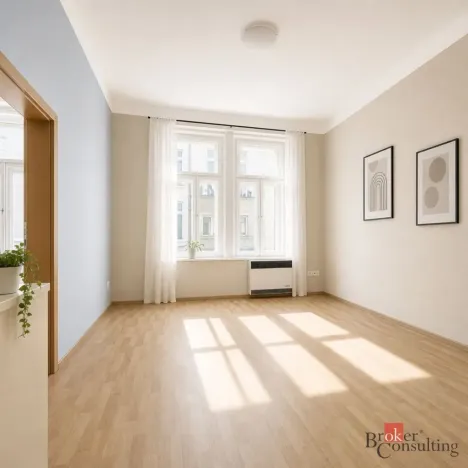 Prodej bytu 2+kk, Praha - Žižkov, Hartigova, 67 m2