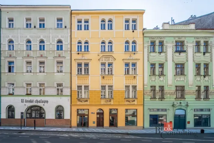 Prodej bytu 2+kk, Praha - Žižkov, Hartigova, 67 m2