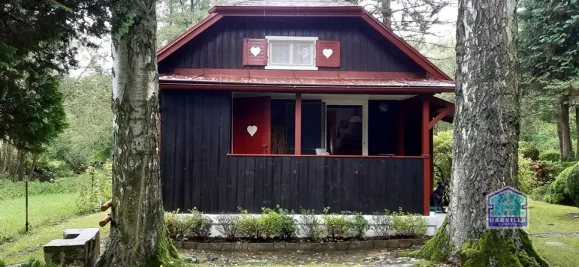 Prodej chaty, Spálené Poříčí - Vlkov, 50 m2