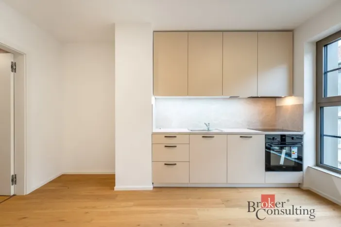 Pronájem bytu 1+kk, Brno - Zábrdovice, Bratislavská, 24 m2