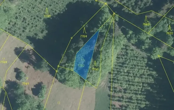 Dražba lesa, Lačnov, 281 m2