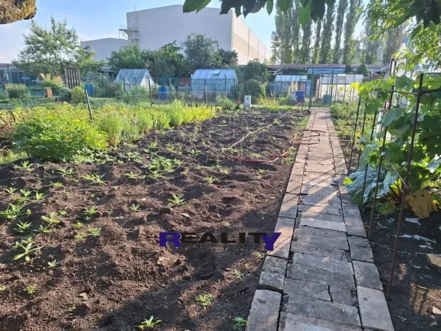 Prodej zahrady, Podbořany, Sídliště Míru, 241 m2
