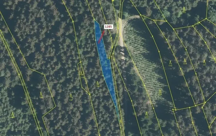 Dražba lesa, Lačnov, 849 m2