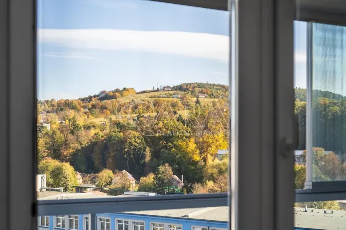 Prodej bytu 3+1, Náchod - Staré Město nad Metují, Pražská, 67 m2