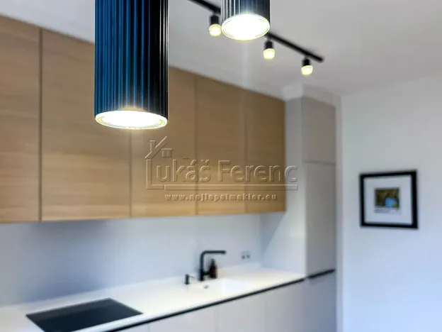 Pronájem bytu 2+kk, Praha - Bubeneč, Lotyšská, 63 m2