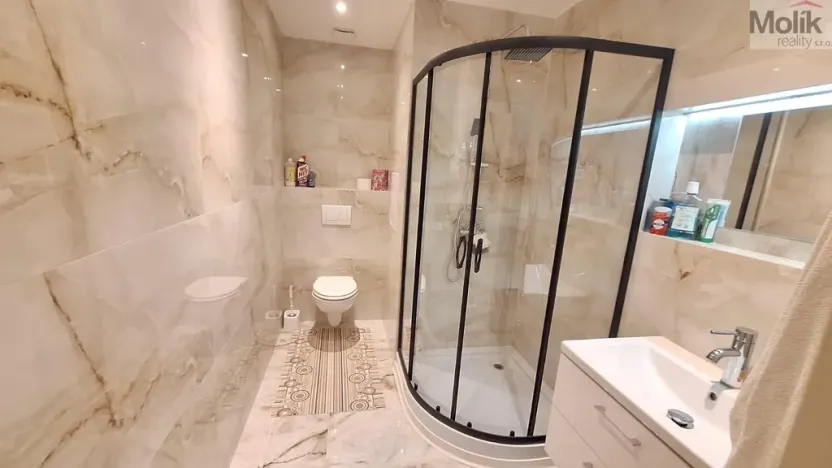 Prodej bytu 2+kk, Teplice - Trnovany, Přítkovská, 47 m2