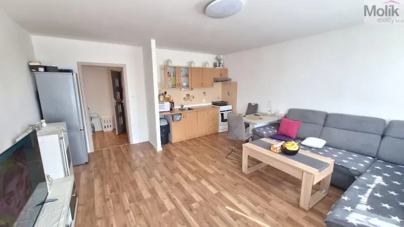 Prodej bytu 2+kk, Teplice - Trnovany, Přítkovská, 47 m2