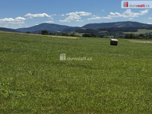 Prodej komerčního pozemku, Vlachovo Březí, Pražská, 4522 m2