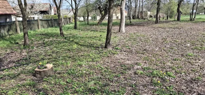 Prodej pozemku, Jenišovice, 871 m2