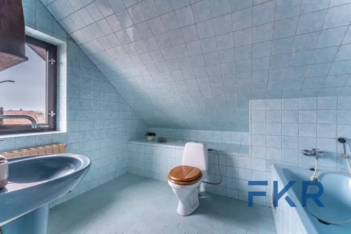 Prodej rodinného domu, Mlečice, 234 m2