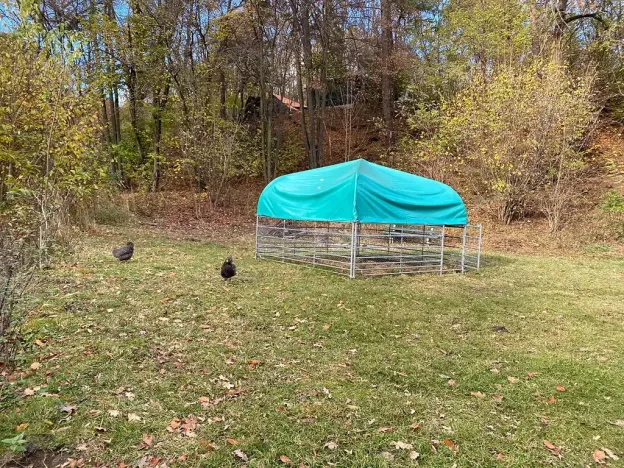 Prodej rodinného domu, Jílové u Prahy, 80 m2