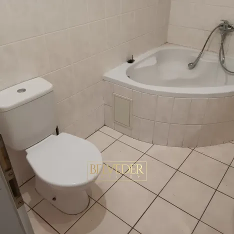 Pronájem bytu 1+1, Teplice, Masarykova třída, 45 m2