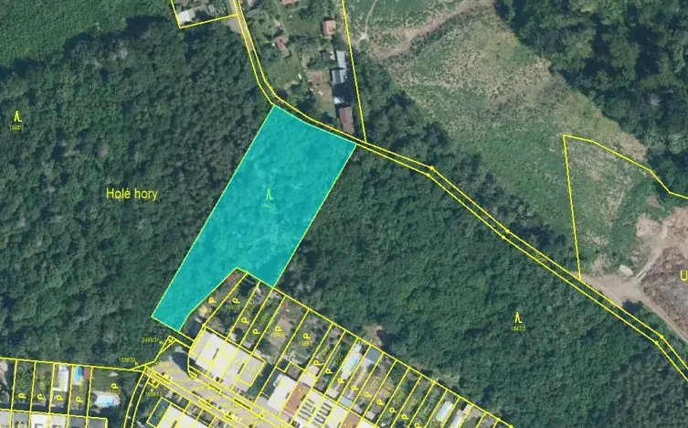 Prodej podílu lesa, Brno, Kupkova, 1313 m2