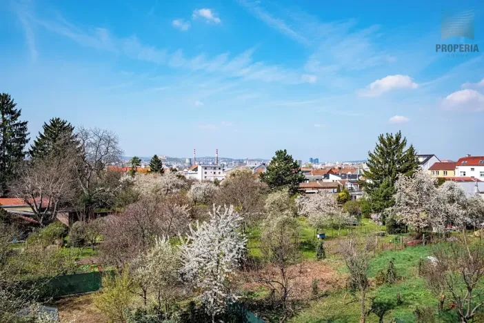 Prodej vícegeneračního domu, Brno, Otakara Ševčíka, 190 m2