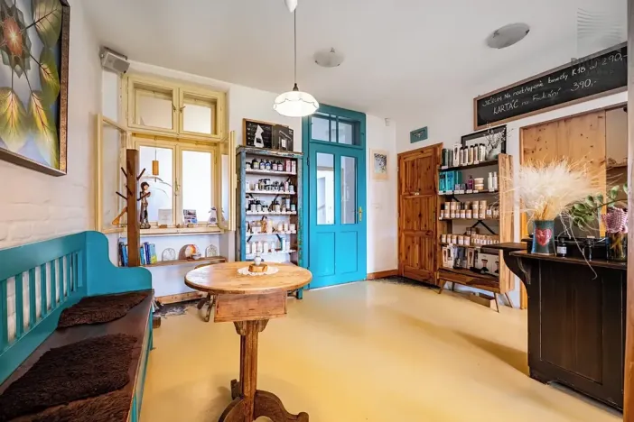 Prodej vícegeneračního domu, Brno, Otakara Ševčíka, 190 m2