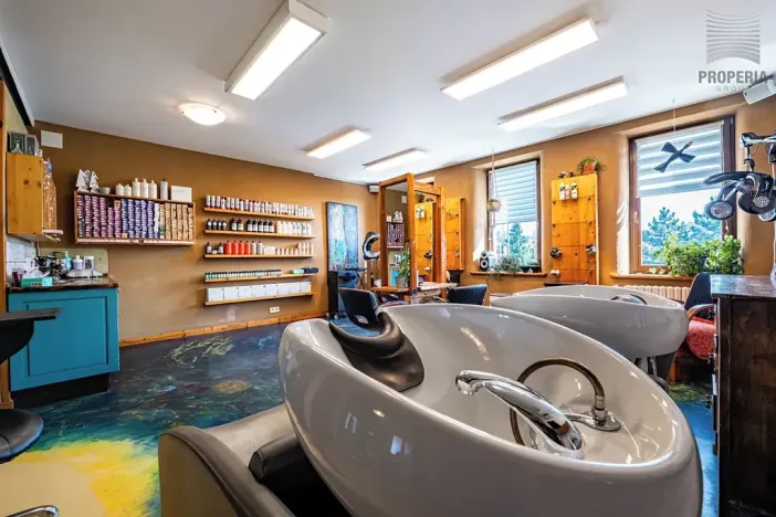 Prodej vícegeneračního domu, Brno, Otakara Ševčíka, 190 m2