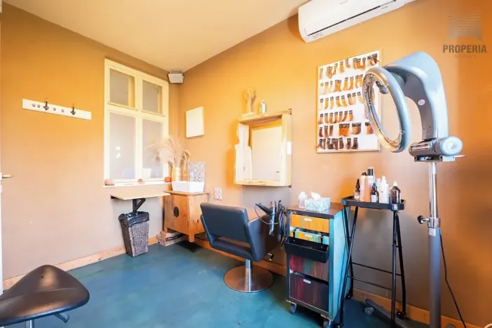 Prodej vícegeneračního domu, Brno, Otakara Ševčíka, 190 m2