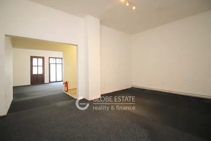 Prodej rodinného domu, Čelákovice, Masarykova, 450 m2