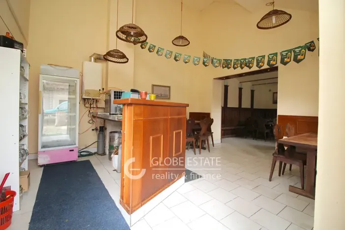 Prodej rodinného domu, Čelákovice, Masarykova, 450 m2