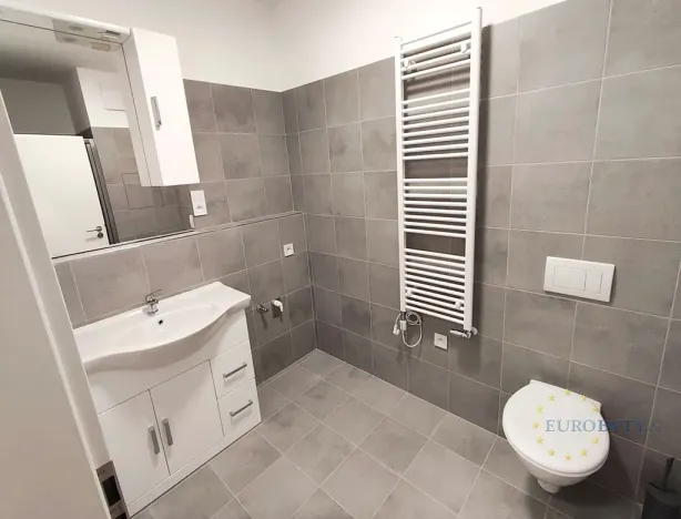 Pronájem bytu 1+kk, Praha - Vysočany, Kabešova, 41 m2