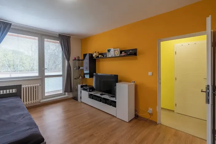 Prodej bytu 2+1, Brno, Foerstrova, 54 m2