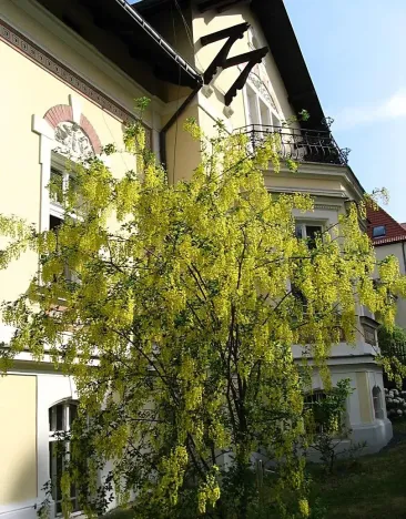 Pronájem bytu 2+kk, Liberec, Gorkého, 73 m2