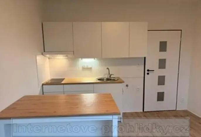 Pronájem bytu 1+1, Ústí nad Labem, Železná, 35 m2