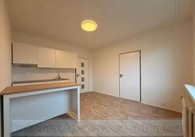 Pronájem bytu 1+1, Ústí nad Labem, Železná, 35 m2