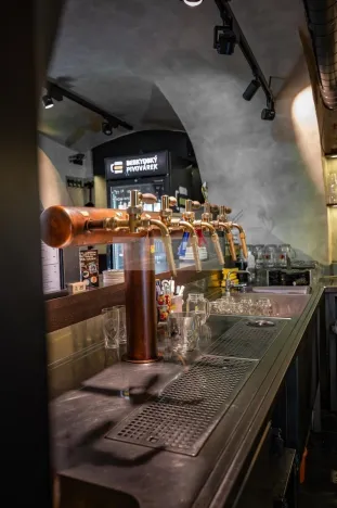 Pronájem restaurace, Brno, Pekařská, 163 m2